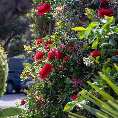 ホテル Les Calanques